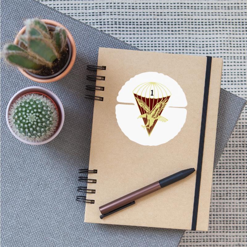 1 Parachute Battalion South African Army Parabats