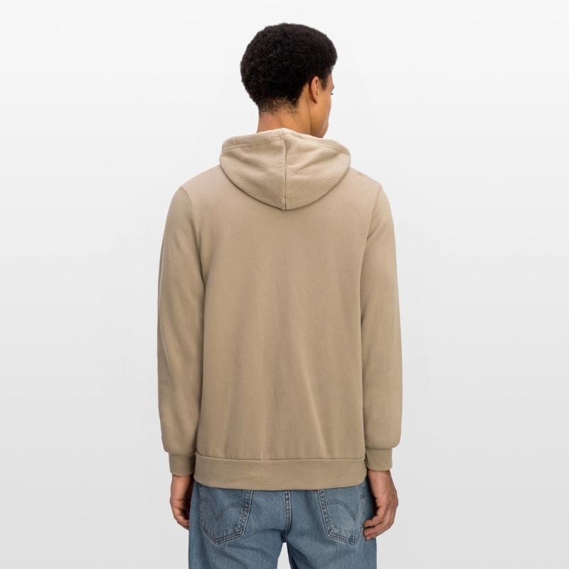 Funny Cactus Sweet Cute Face Laughs Happy Desert