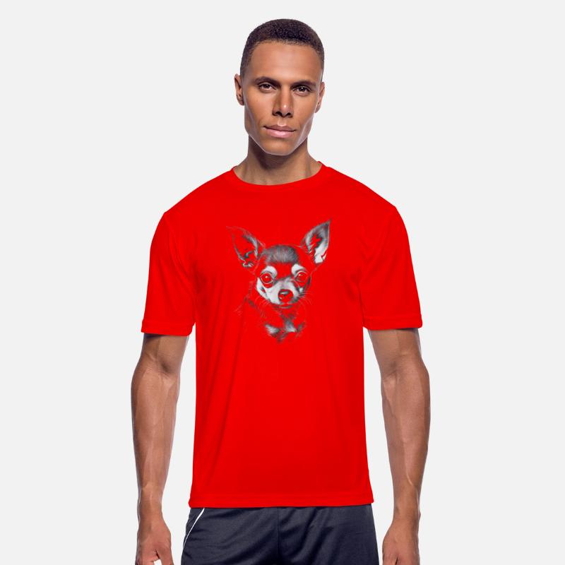 Chihuahua cute Chihuahuas pet