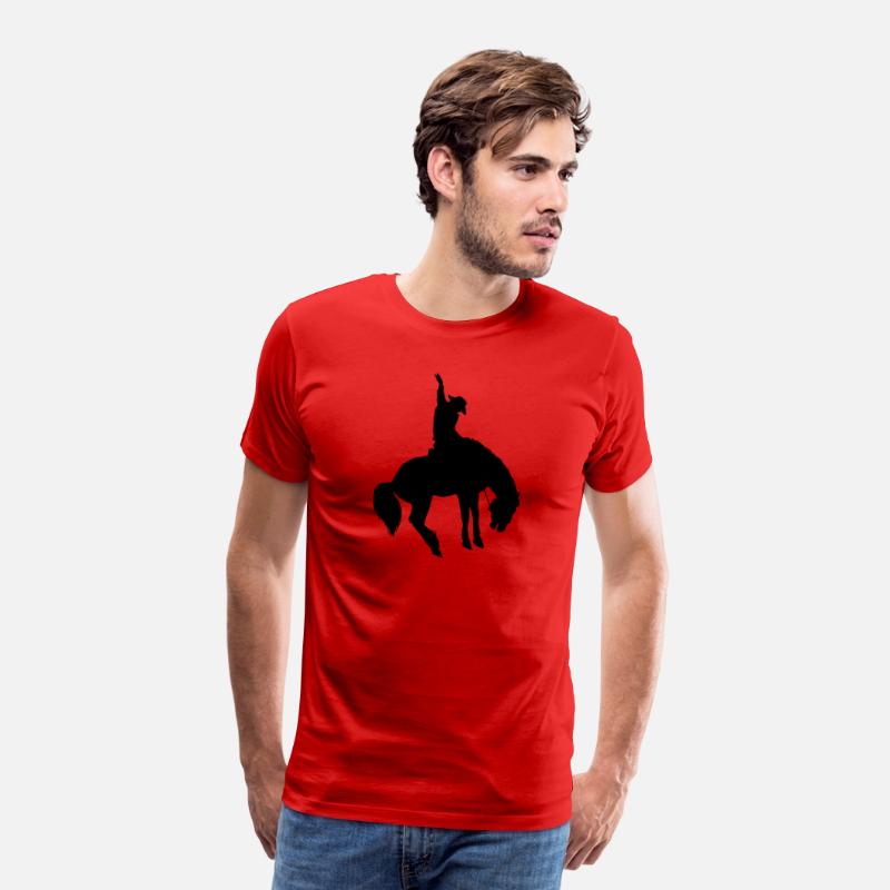 Cowboy Rodeo, Rider, Horse Riding, Horse, Colt